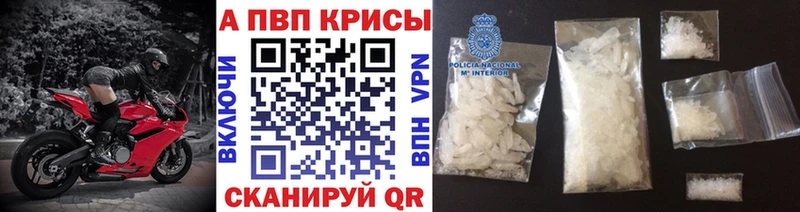 omg ссылка  Почеп  Альфа ПВП СК КРИС 
