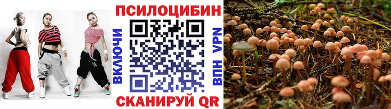 Псилоцибиновые грибы мицелий  Почеп 