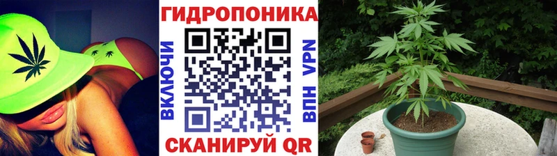 МАРИХУАНА тримм Почеп